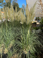 Cargar imagen en el visor de la Galería, Cola de zorro XL