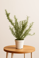 Cargar imagen en el visor de la Galería, Romero Tuscani Blue