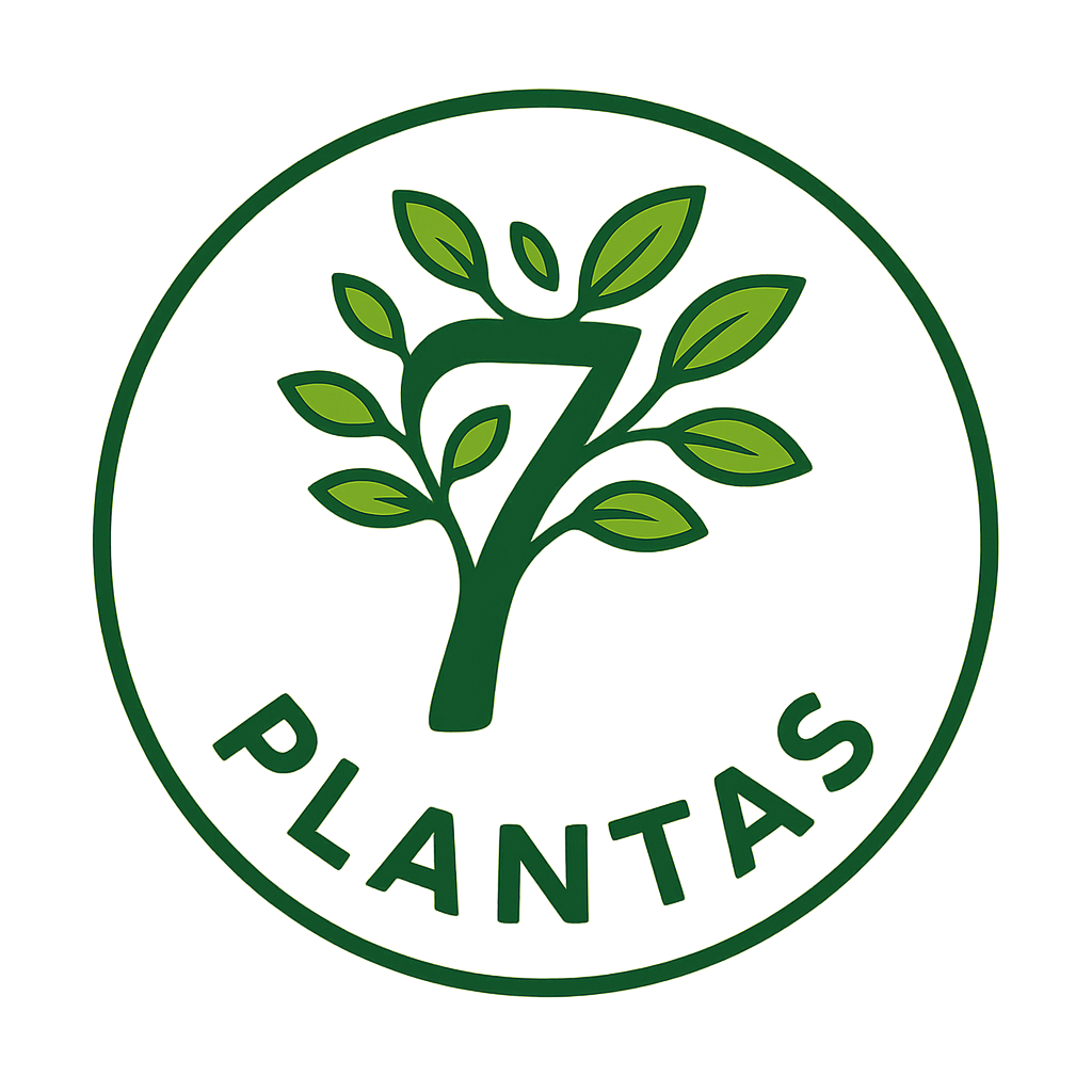 Siete Plantas