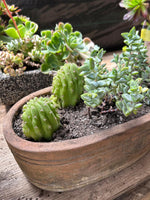 Cargar imagen en el visor de la Galería, Arreglo de suculenta en maceta de greda